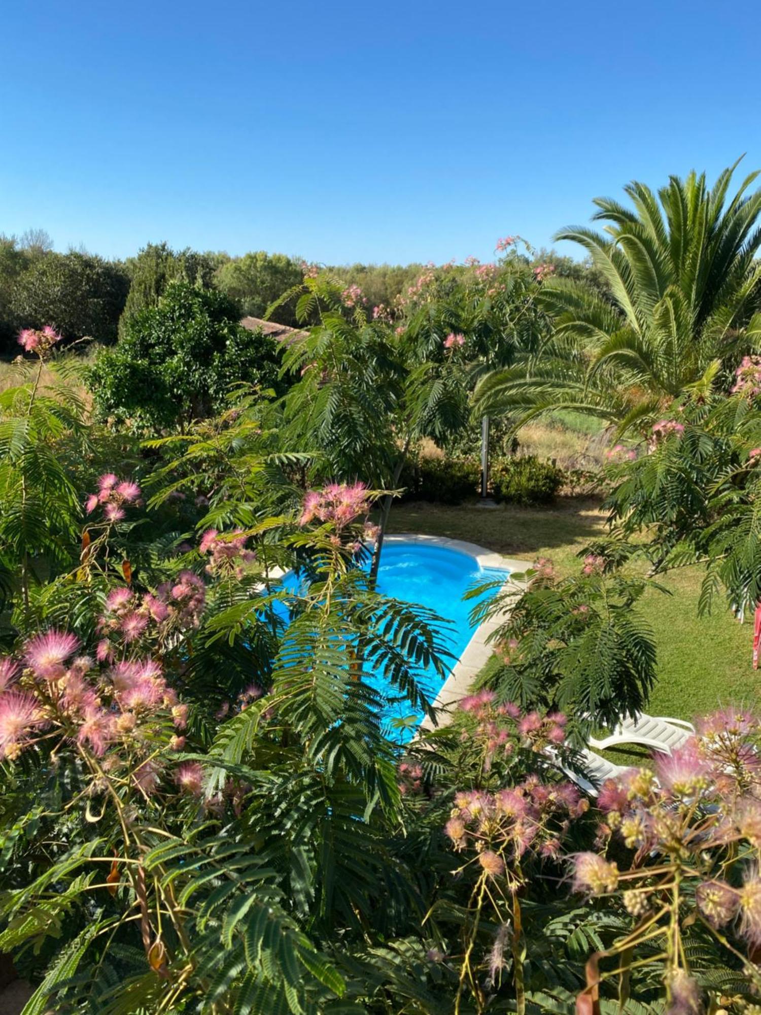 Higueras Y Olivos Villa Канделеда Екстериор снимка