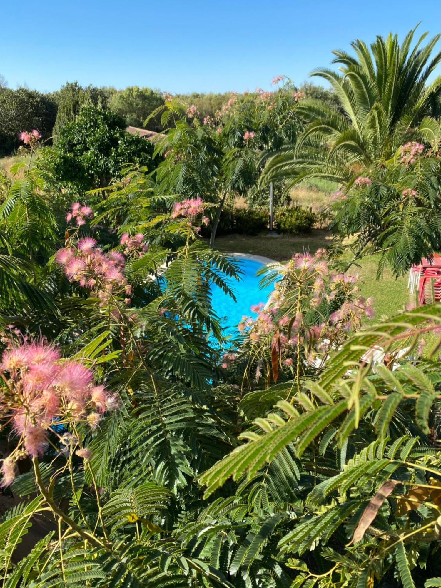 Higueras Y Olivos Villa Канделеда Екстериор снимка