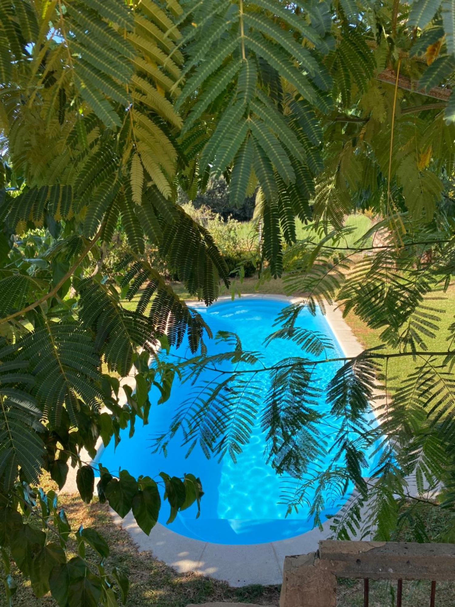 Higueras Y Olivos Villa Канделеда Екстериор снимка